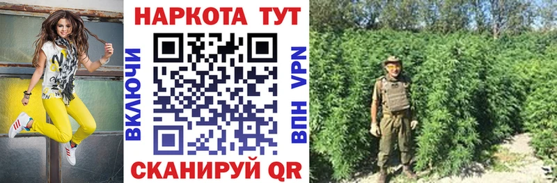 Конопля Биробиджан