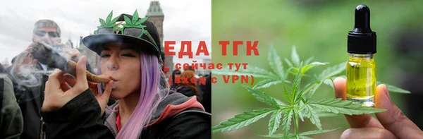стафф Касимов