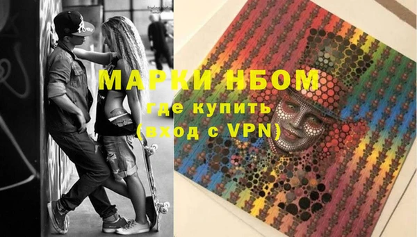 стафф Касимов