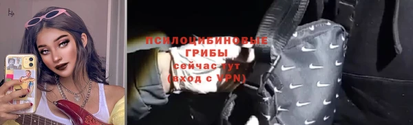 стафф Касимов